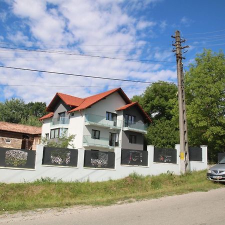 Pensiunea Albero Árgyasudvarhely Kültér fotó